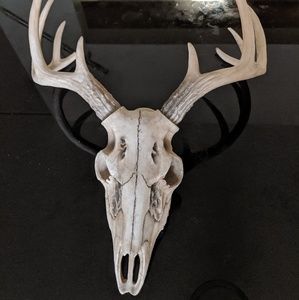Resin 10 Point Buck Deer Skull